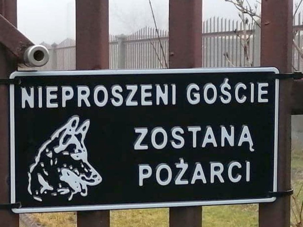 Śmieszne i nietypowe tabliczki ostrzegające o psach