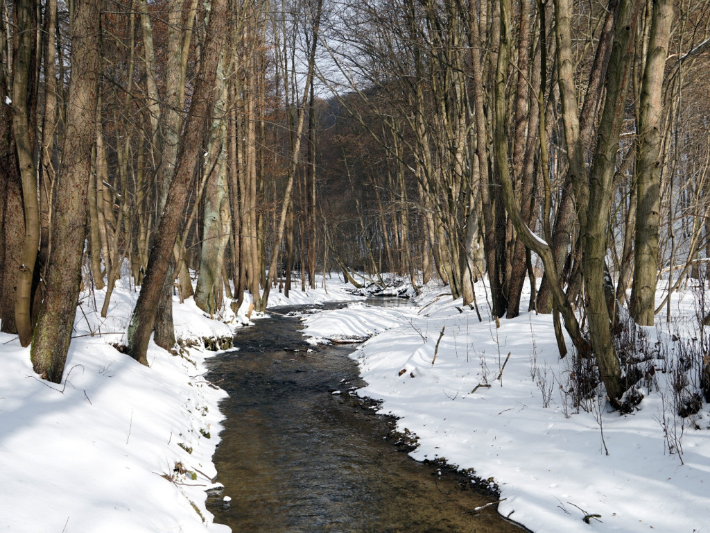 Niedzielny spacer w Dolinie Racławki w gminie Krzeszowice