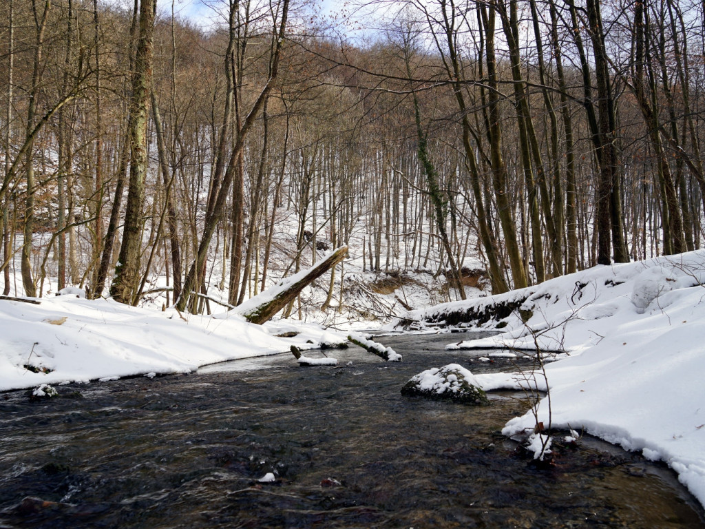 Niedzielny spacer w Dolinie Racławki w gminie Krzeszowice