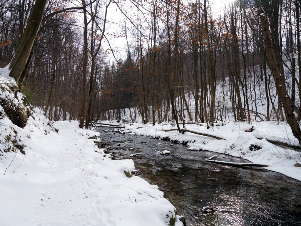Niedzielny spacer w Dolinie Racławki w gminie Krzeszowice