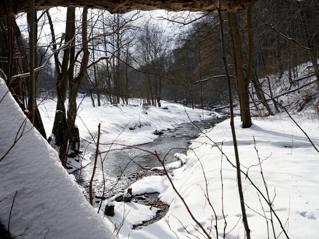 Niedzielny spacer w Dolinie Racławki w gminie Krzeszowice