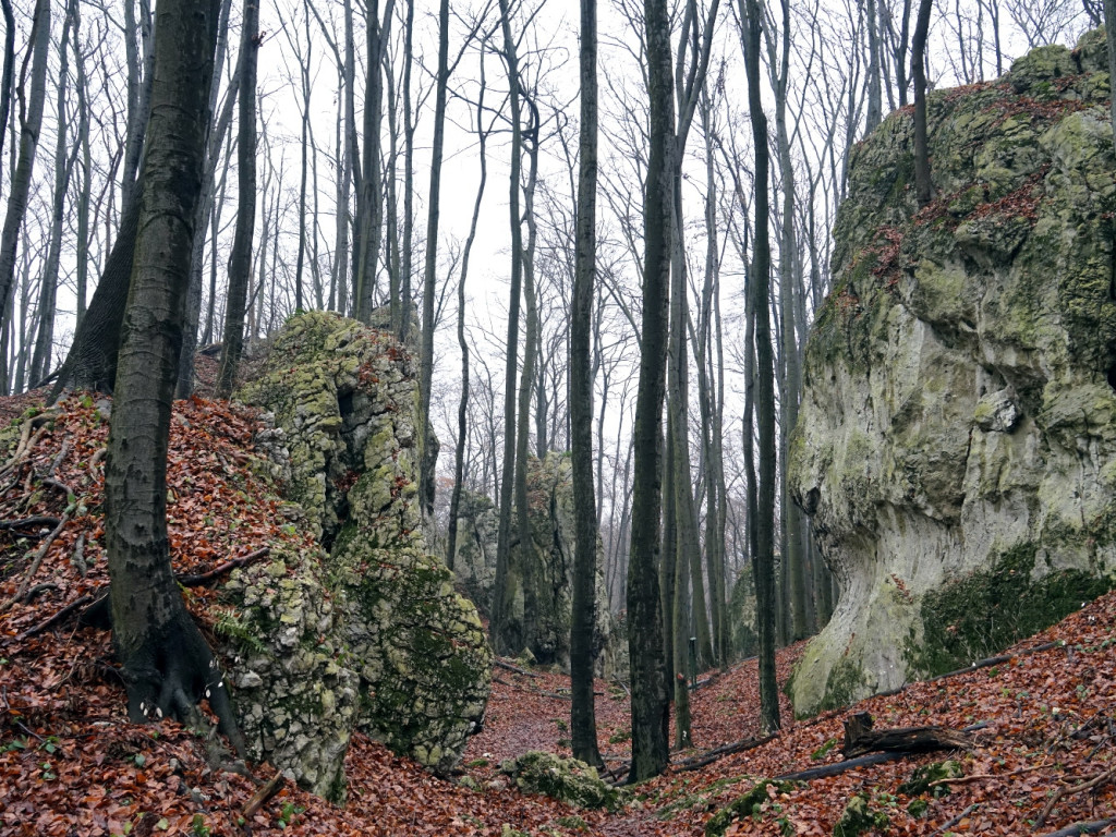 Weekendowy spacer po rezerwacie Pazurek