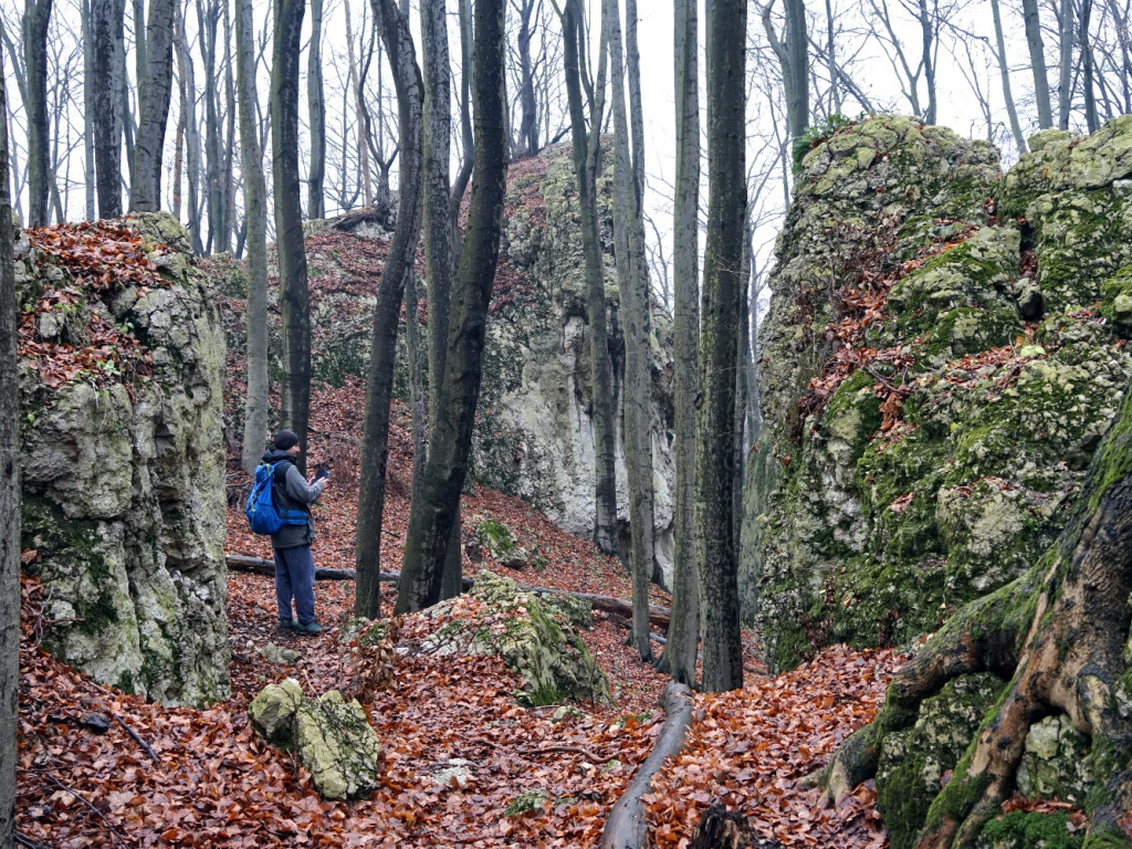 Weekendowy spacer po rezerwacie Pazurek