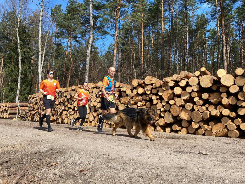 STOP wycince drzew - protest w Puszczy Dulowskiej