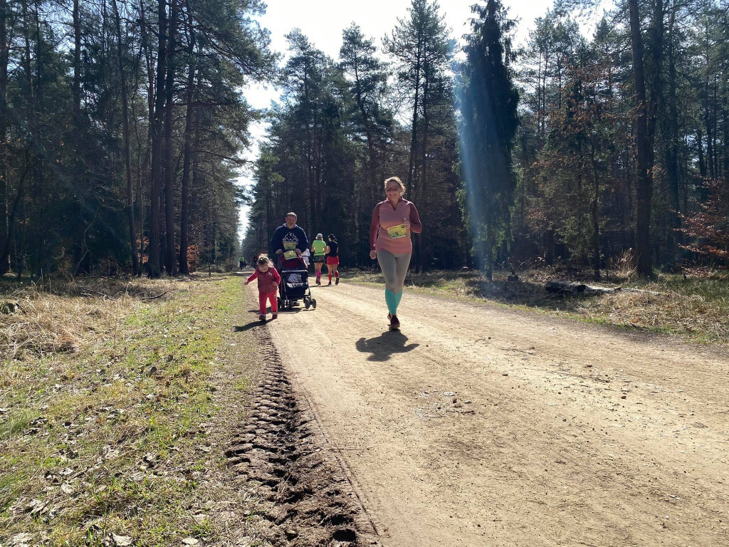 STOP wycince drzew - protest w Puszczy Dulowskiej