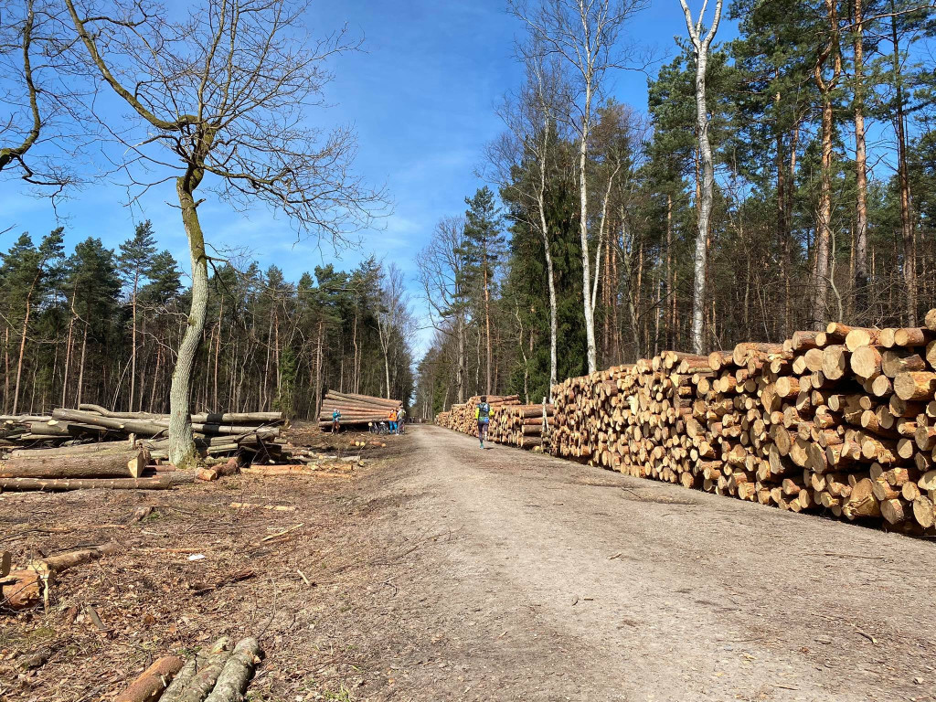 STOP wycince drzew - protest w Puszczy Dulowskiej