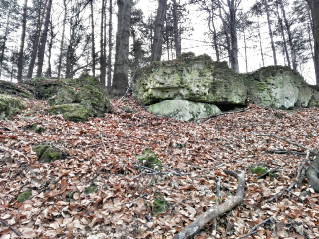 Cisowe Skały w Czyżówce - dobre miejsce na spacer