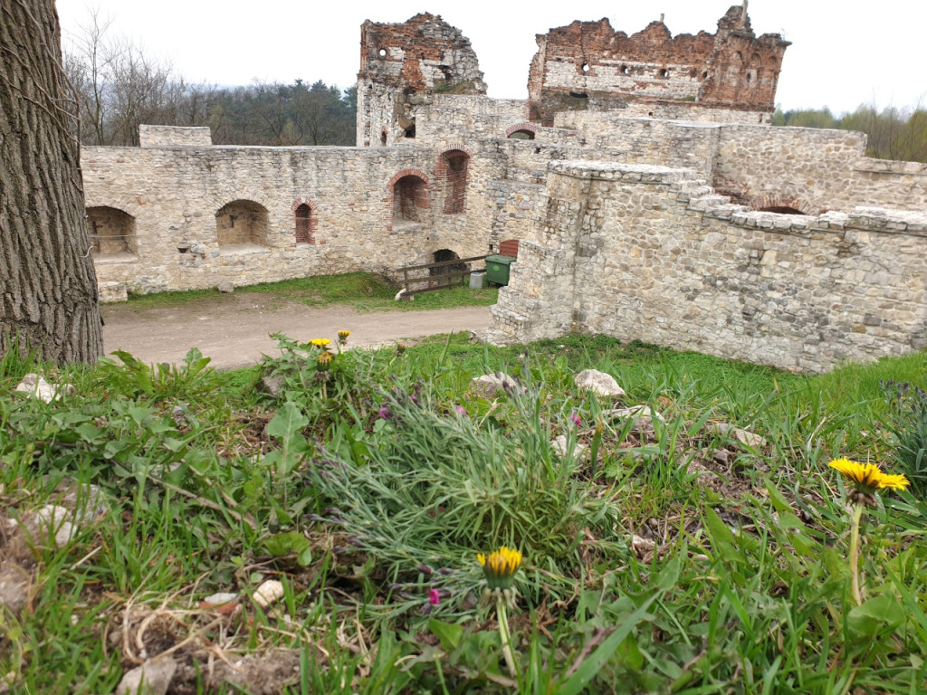 Zamek Tenczyn w Rudnie znów otwarty dla turystów 1.05.2021 r.