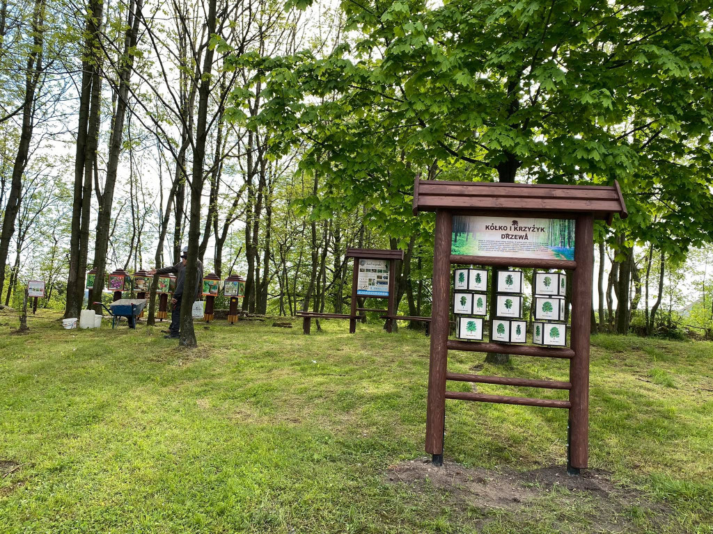 Przyrodnicza ścieżka edukacyjna w Bolęcinie