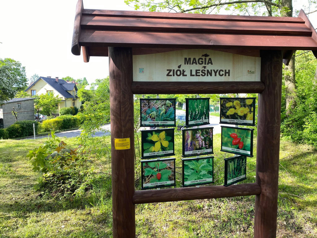 Przyrodnicza ścieżka edukacyjna w Bolęcinie