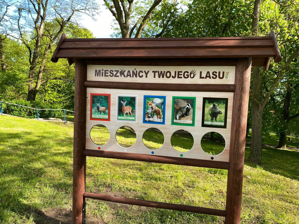 Przyrodnicza ścieżka edukacyjna w Bolęcinie