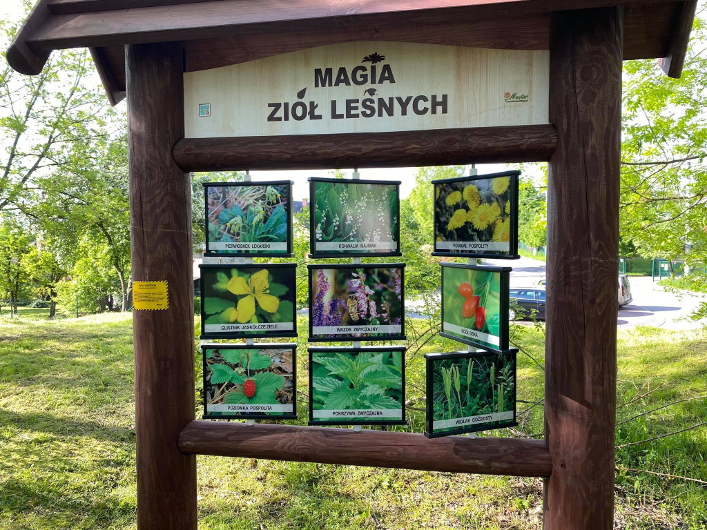 Przyrodnicza ścieżka edukacyjna w Bolęcinie