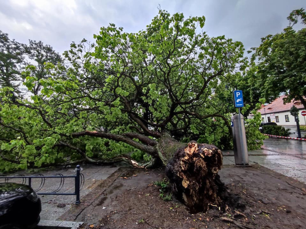 Skutki burz w Krzeszowicach15.07.2021