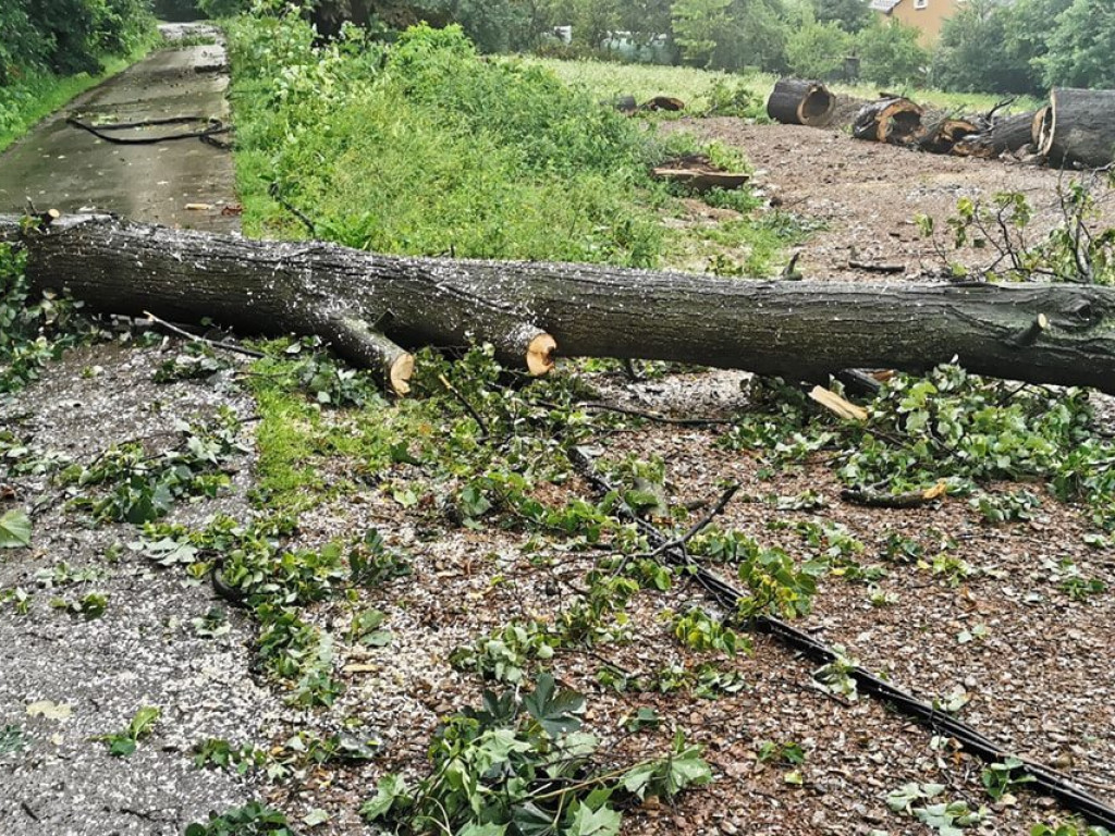 Skutki burz w Krzeszowicach15.07.2021