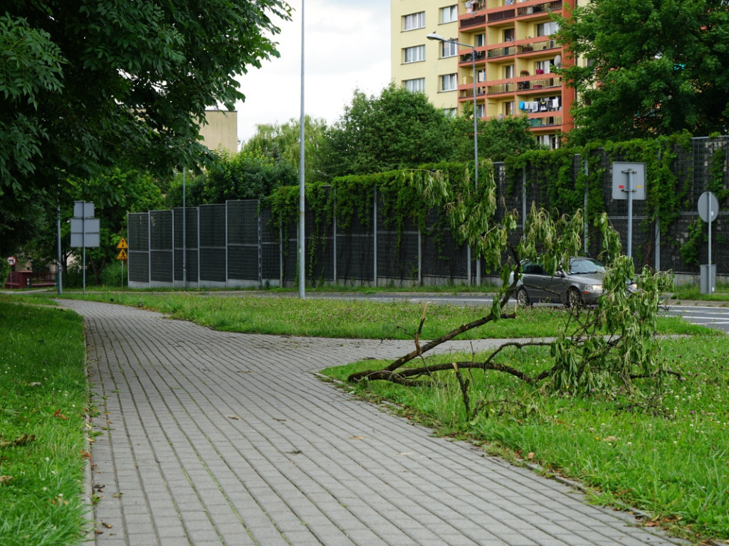 Park w Chrzanowie kilka dni po nawałnicy – 17.07.2021