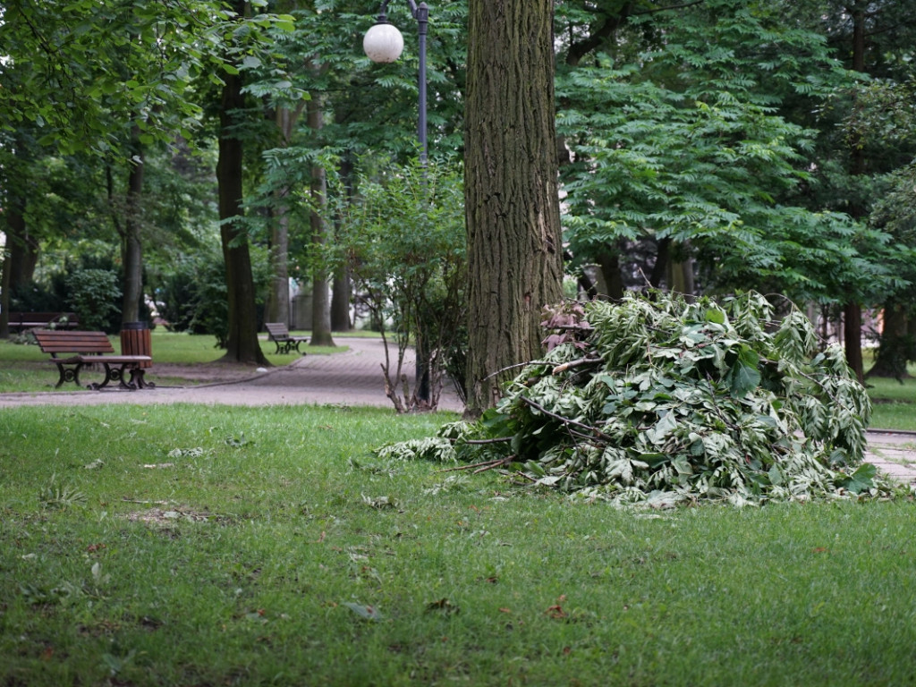 Park w Chrzanowie kilka dni po nawałnicy – 17.07.2021