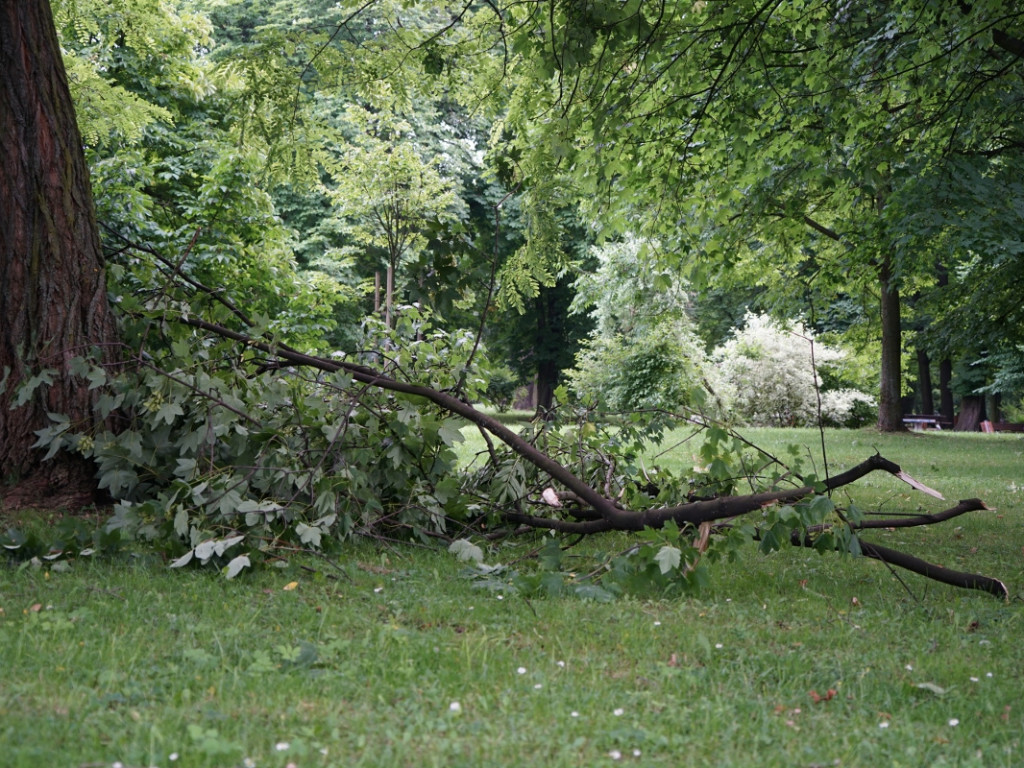 Park w Chrzanowie kilka dni po nawałnicy – 17.07.2021