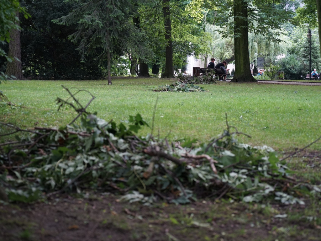 Park w Chrzanowie kilka dni po nawałnicy – 17.07.2021