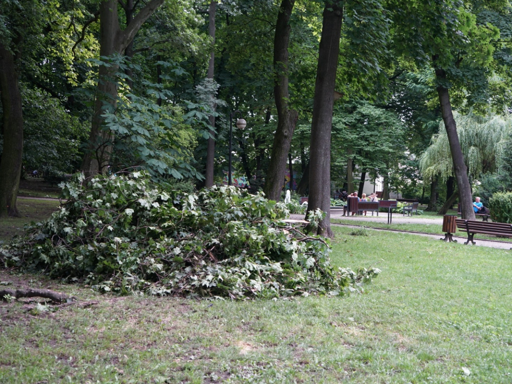 Park w Chrzanowie kilka dni po nawałnicy – 17.07.2021