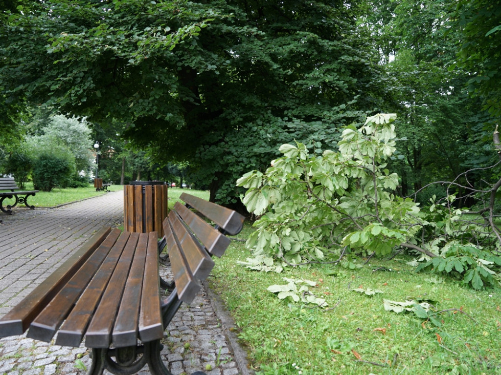 Park w Chrzanowie kilka dni po nawałnicy – 17.07.2021