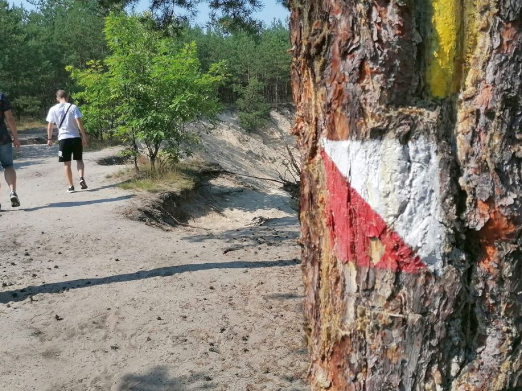 Propozycja na weekend - rzeka Sztoła