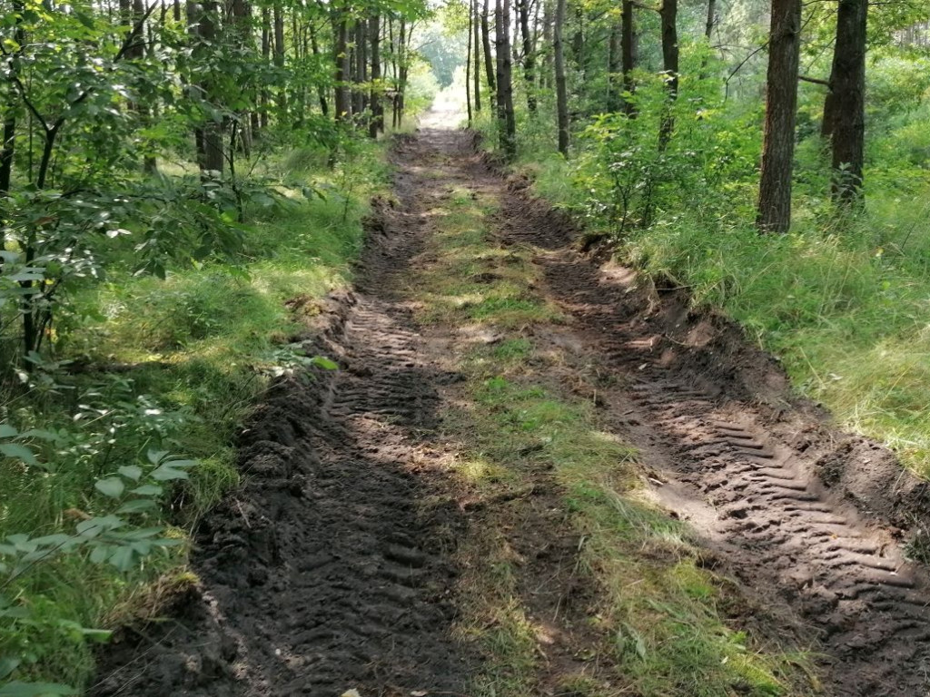 Budowa drogi rowerowej między Libiążem i Chrzanowem