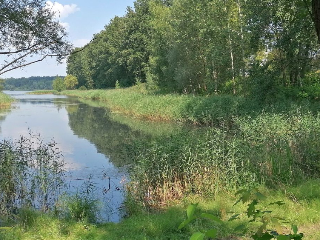 Jezioro Pogoria III