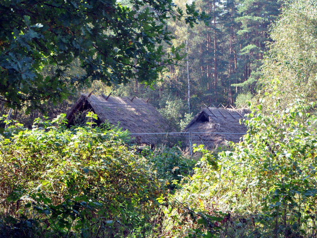 W Puszczy Dulowskiej powstała wioska. Kręcą tam serial historyczny