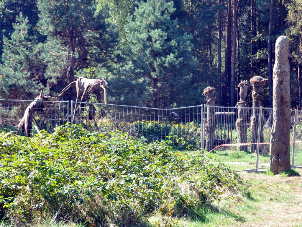 W Puszczy Dulowskiej powstała wioska. Kręcą tam serial historyczny