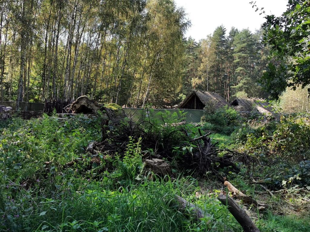 W Puszczy Dulowskiej powstała wioska. Kręcą tam serial historyczny