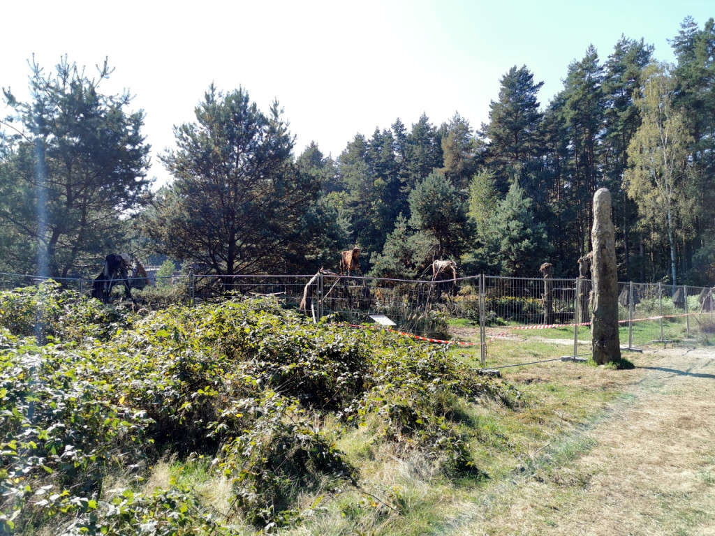 W Puszczy Dulowskiej powstała wioska. Kręcą tam serial historyczny