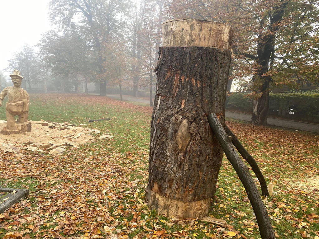 Nowe rzeźby w parku Dworu Zieleniewskich