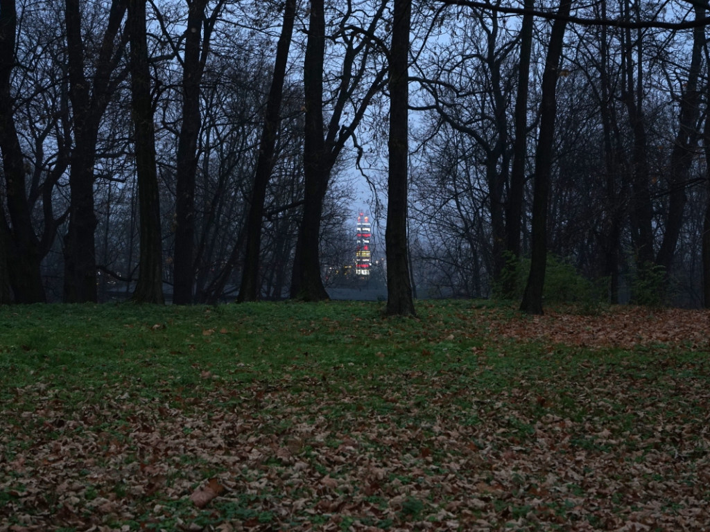 Park w chrzanowskim Kościelcu po zmroku w nowej odsłonie