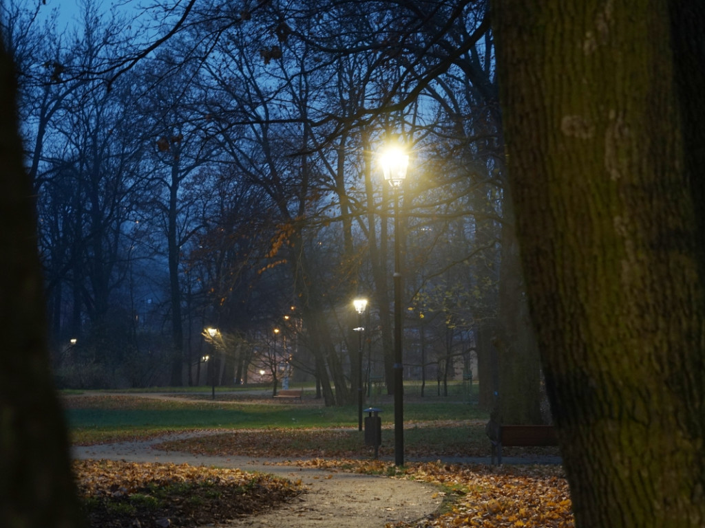 Park w chrzanowskim Kościelcu po zmroku w nowej odsłonie