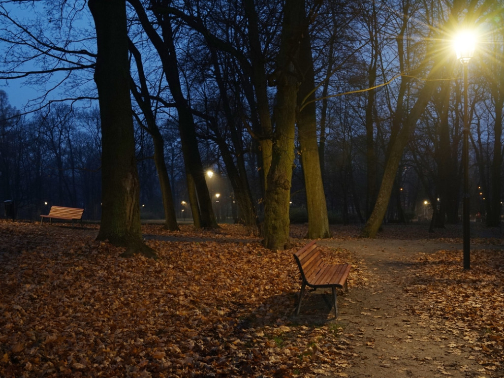 Park w chrzanowskim Kościelcu po zmroku w nowej odsłonie