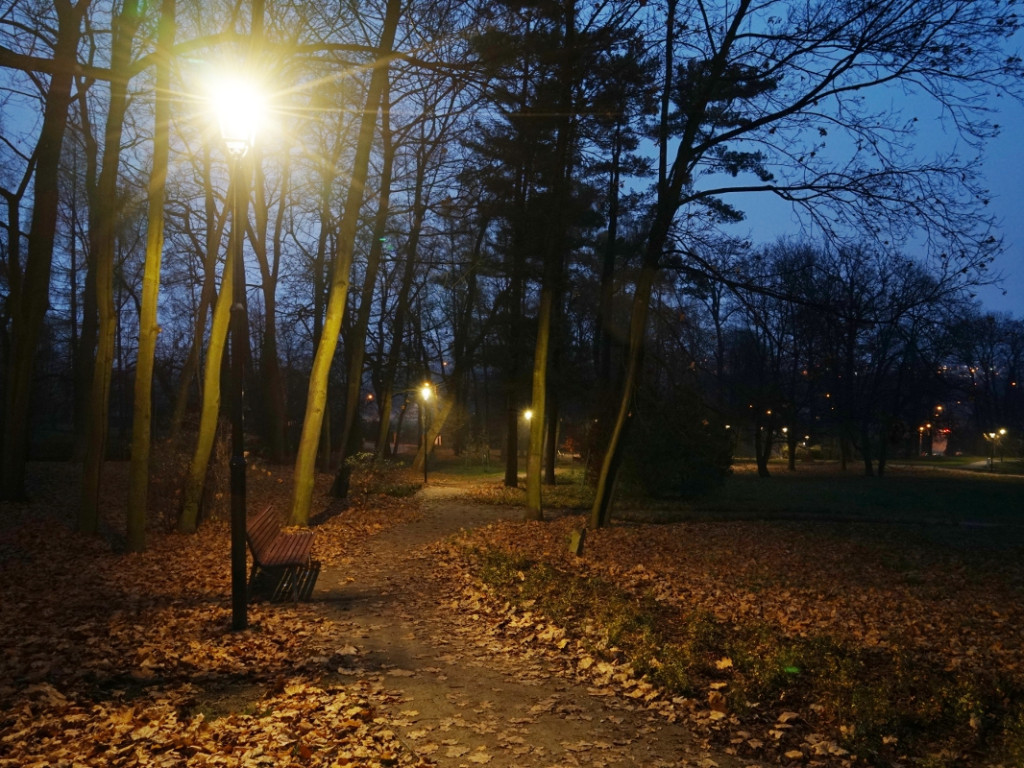Park w chrzanowskim Kościelcu po zmroku w nowej odsłonie