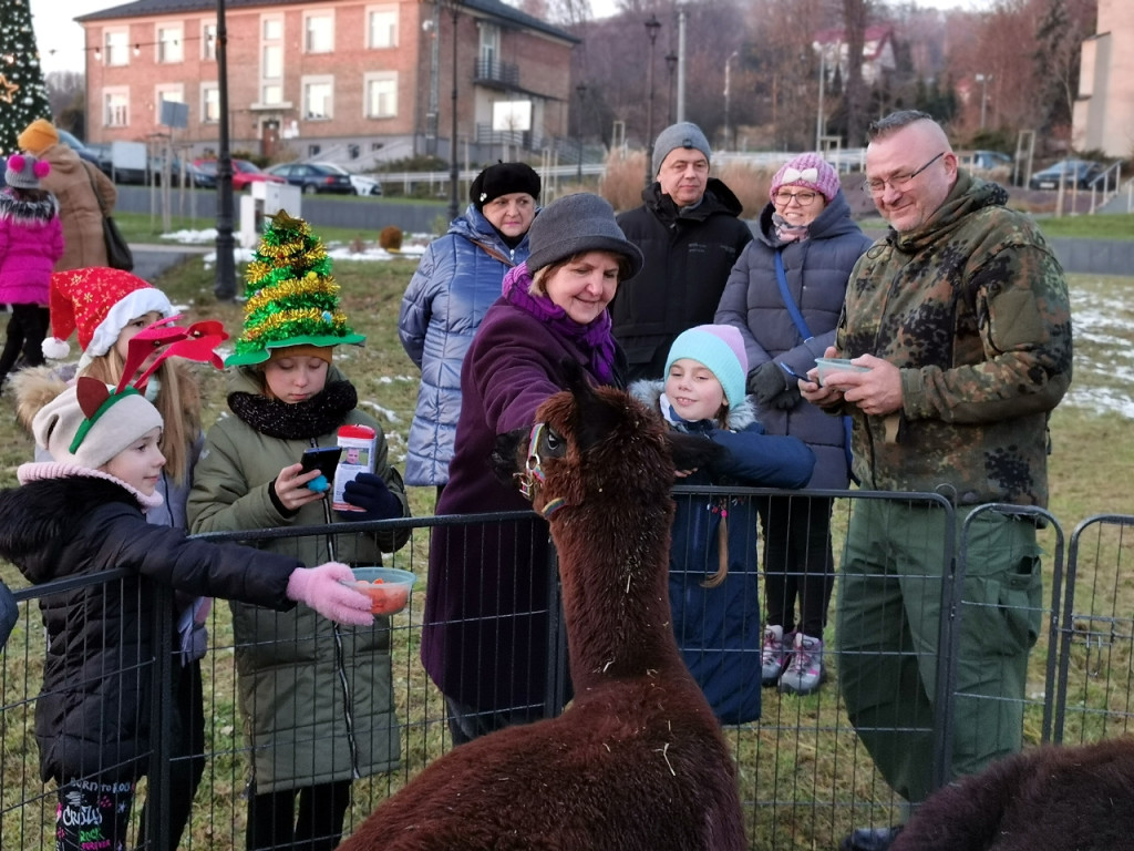 Impreza Na świątecznym placu w Babicach - 12.12.2021 r.