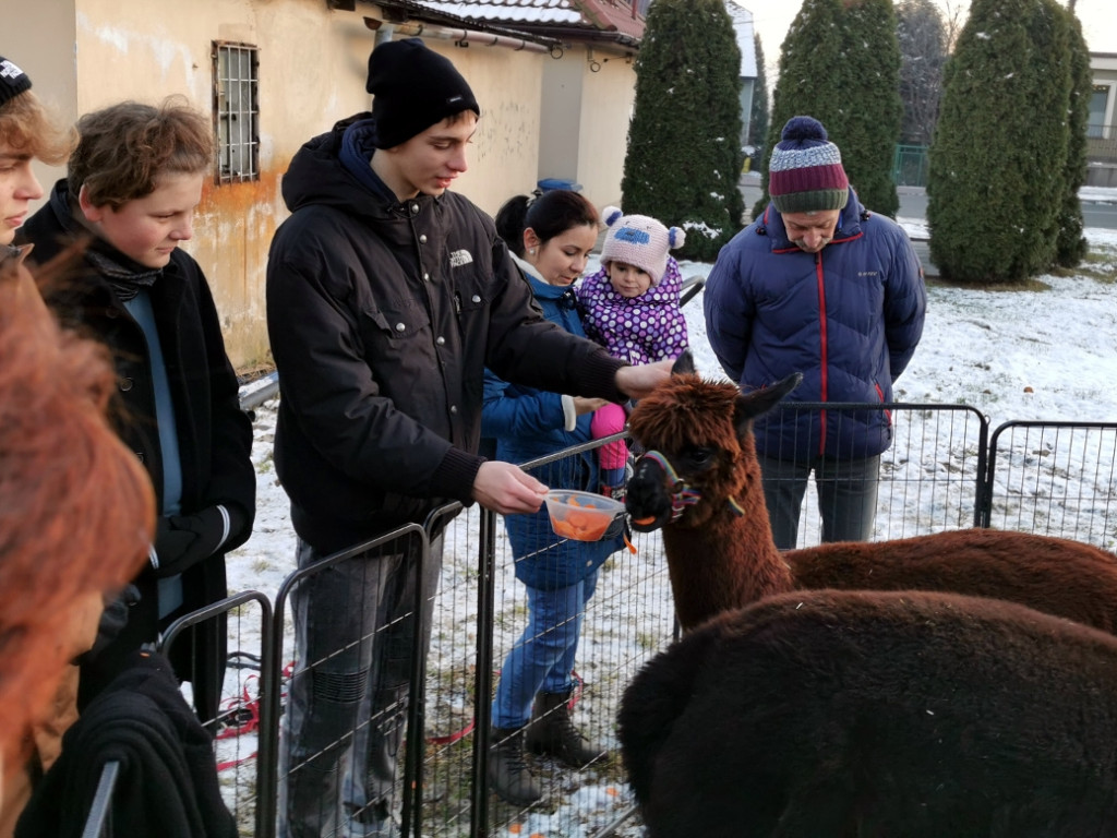 Impreza Na świątecznym placu w Babicach - 12.12.2021 r.