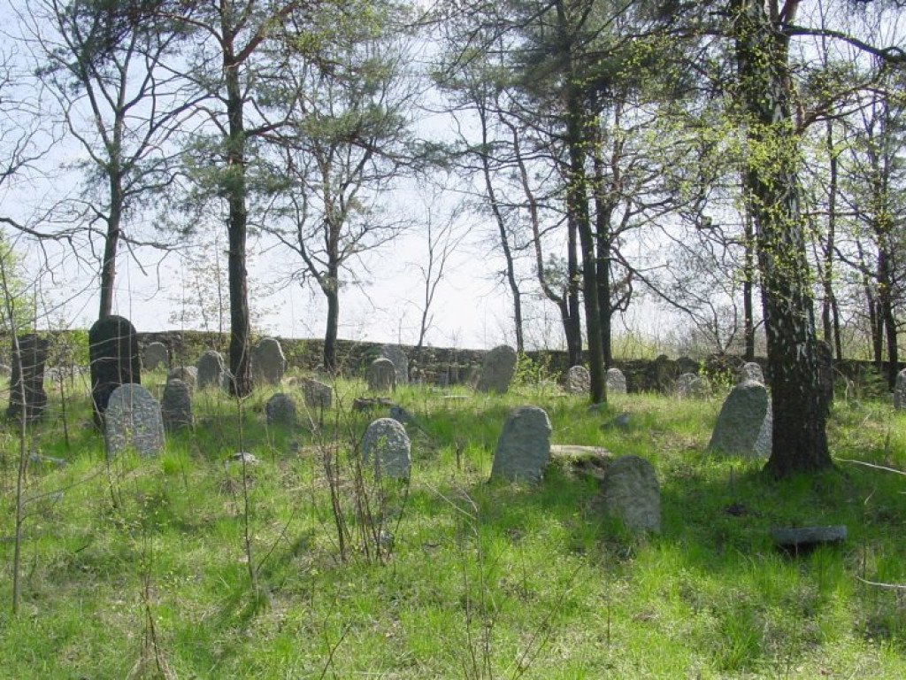 Cmentarz żydowski w Chrzanowie 30.04.2005 r.
