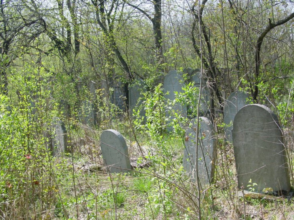 Cmentarz żydowski w Chrzanowie 30.04.2005 r.