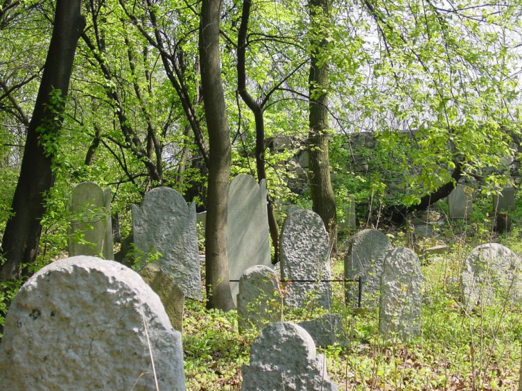 Cmentarz żydowski w Chrzanowie 30.04.2005 r.