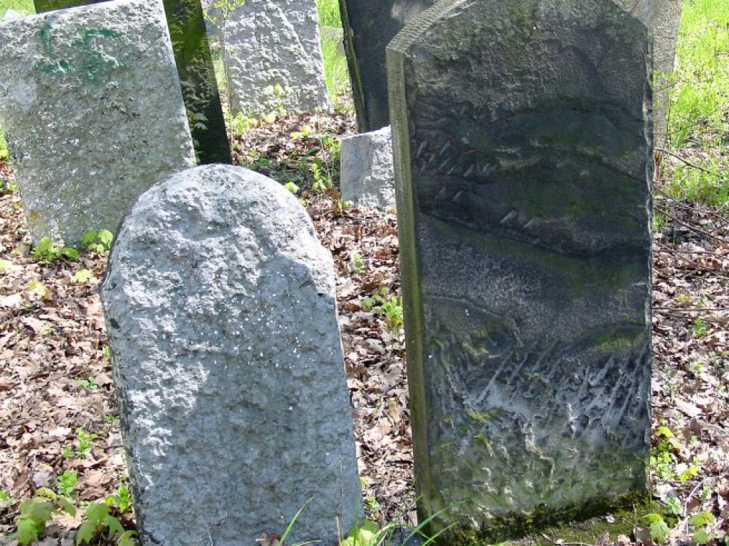 Cmentarz żydowski w Chrzanowie 30.04.2005 r.