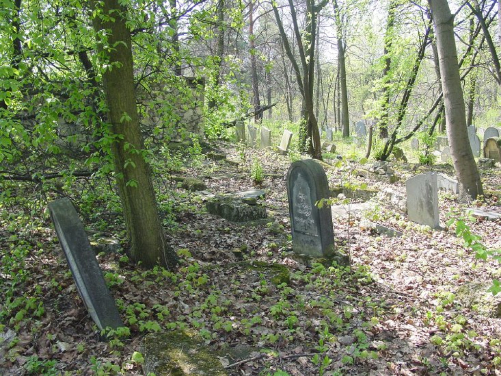 Cmentarz żydowski w Chrzanowie 30.04.2005 r.