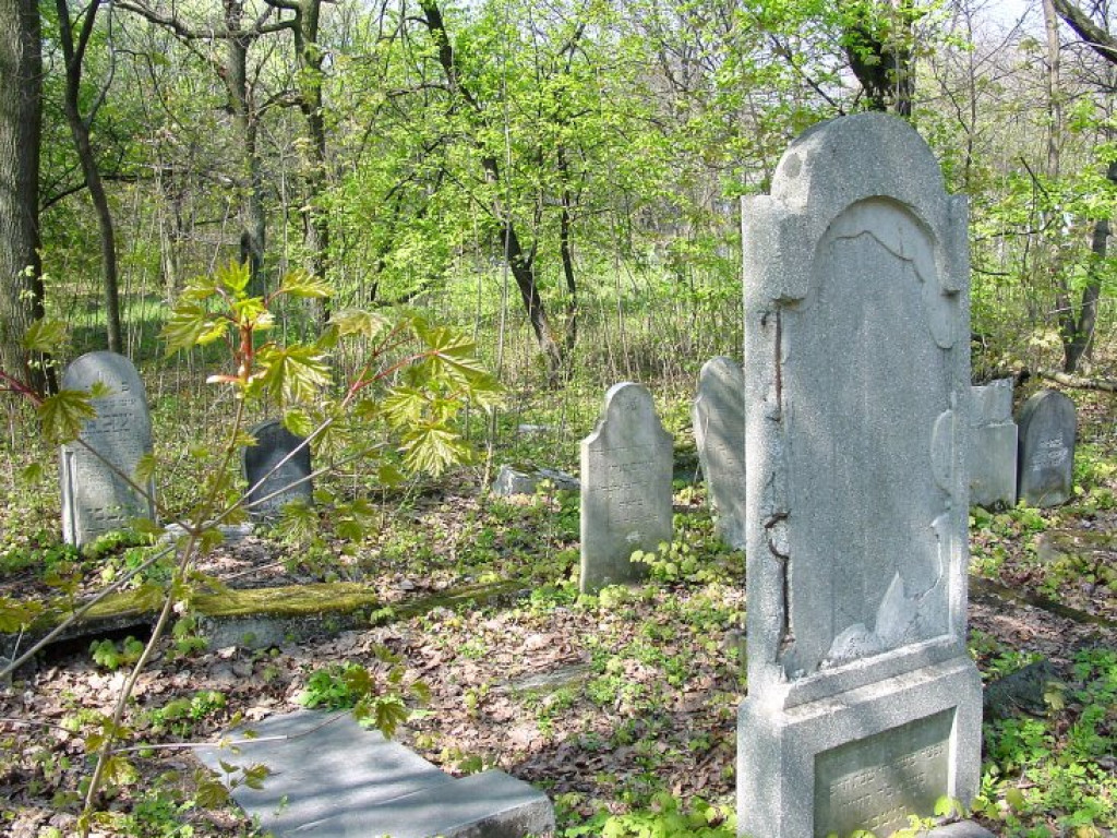 Cmentarz żydowski w Chrzanowie 30.04.2005 r.