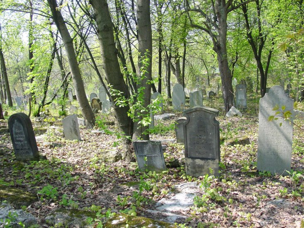 Cmentarz żydowski w Chrzanowie 30.04.2005 r.