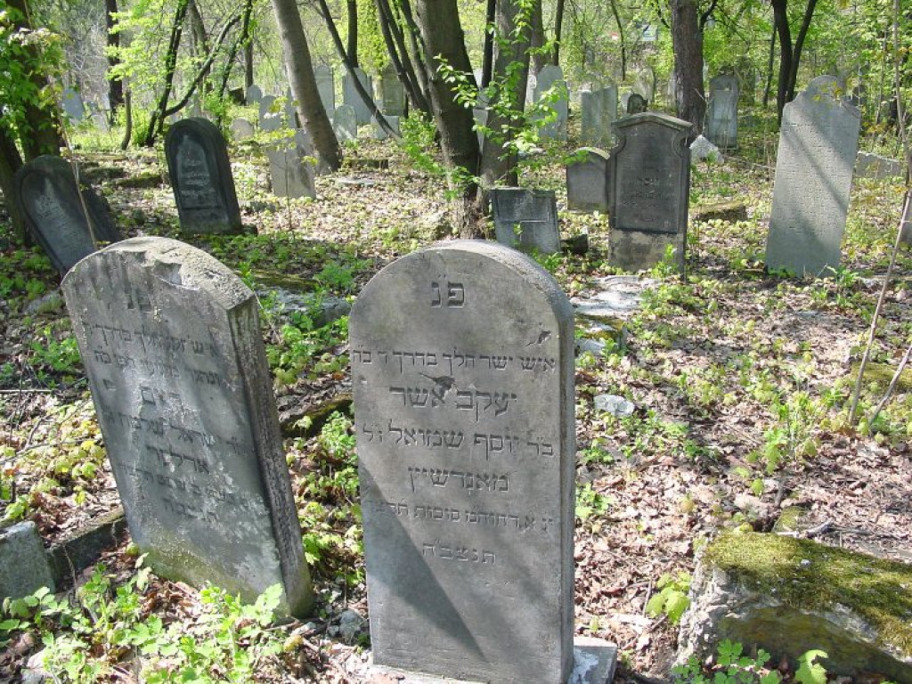Cmentarz żydowski w Chrzanowie 30.04.2005 r.
