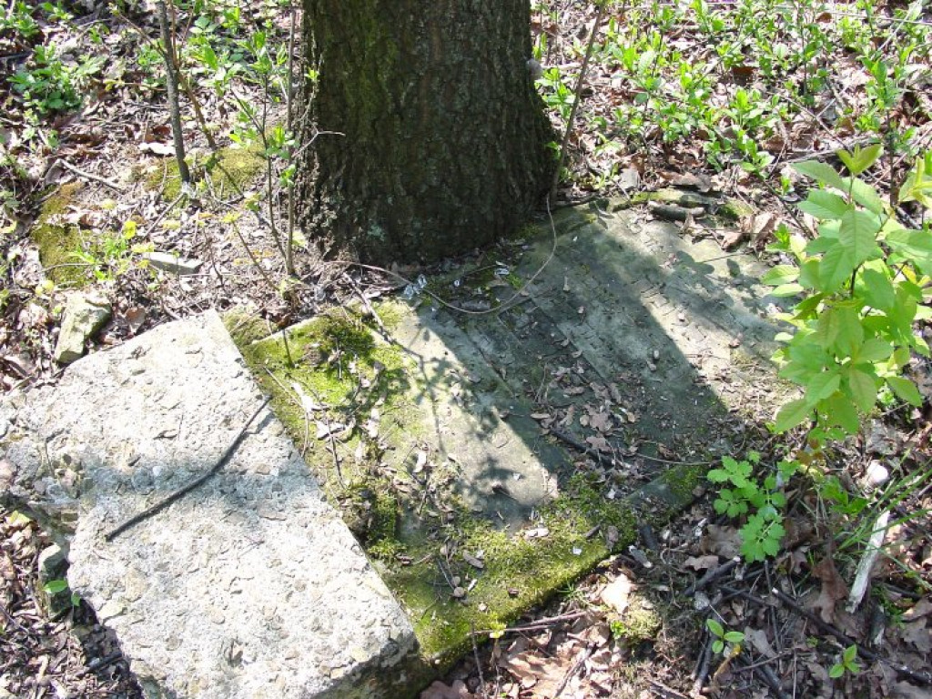 Cmentarz żydowski w Chrzanowie 30.04.2005 r.