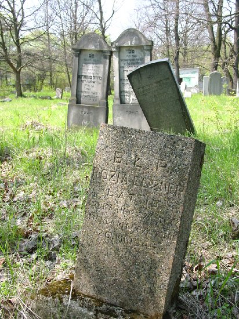 Cmentarz żydowski w Chrzanowie 30.04.2005 r.
