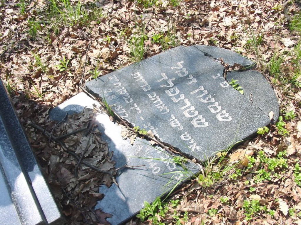 Cmentarz żydowski w Chrzanowie 30.04.2005 r.