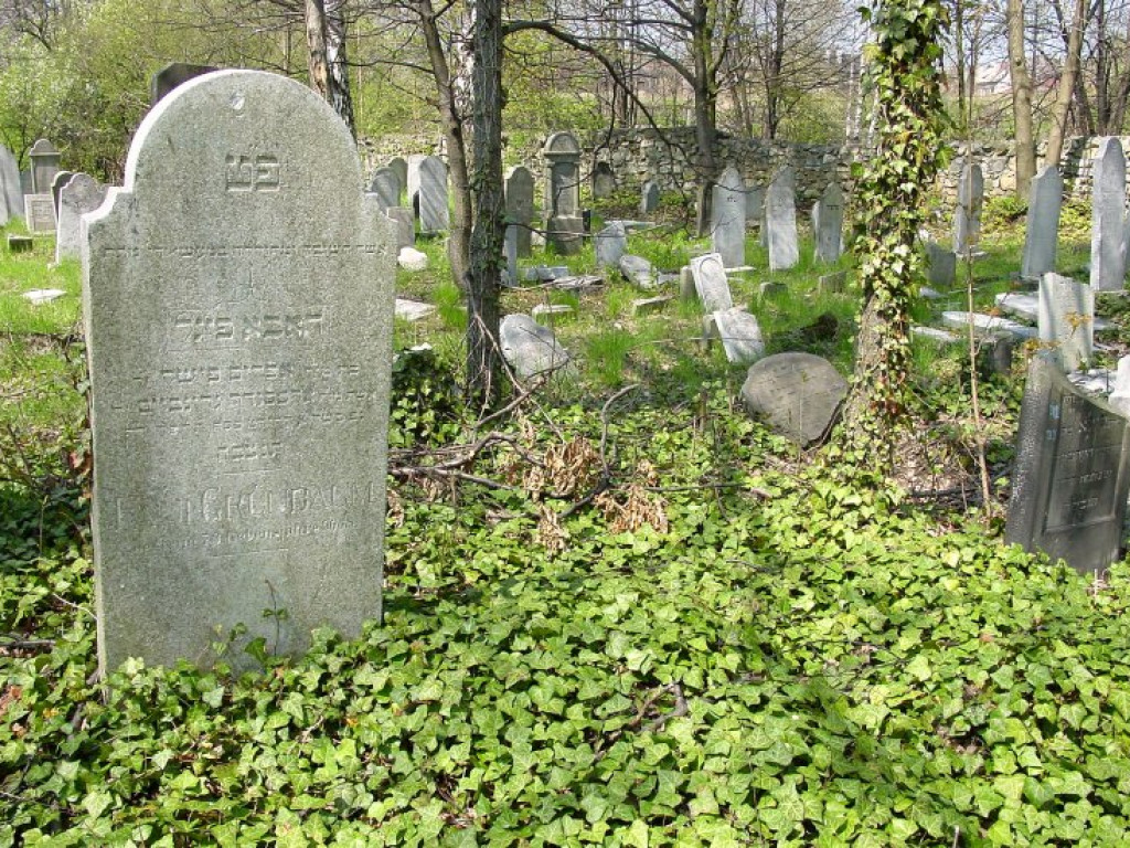 Cmentarz żydowski w Chrzanowie 30.04.2005 r.